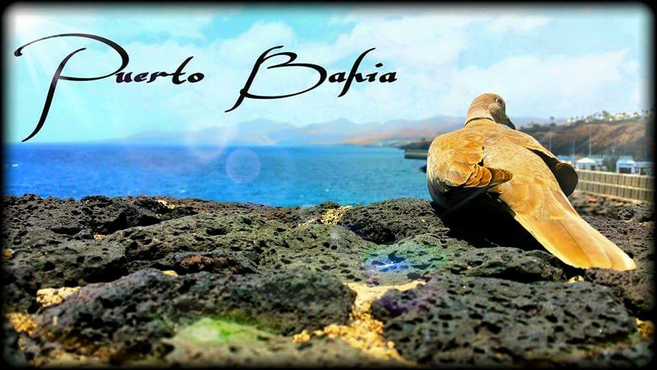 Puerto Bahia